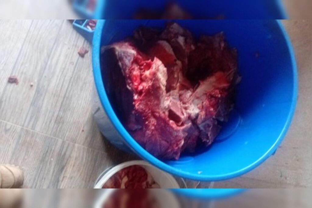 0d99d3bb3355df476a2cfd3bdd0b6030-1024x683 Carnes em lonas e baldes: açougue clandestino funcionava em casa no DF.