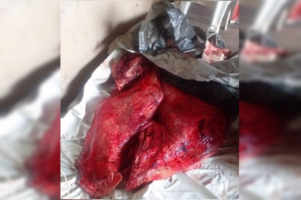 726cbe8356e937be549911d7ea84e5a7-1024x683 Carnes em lonas e baldes: açougue clandestino funcionava em casa no DF.